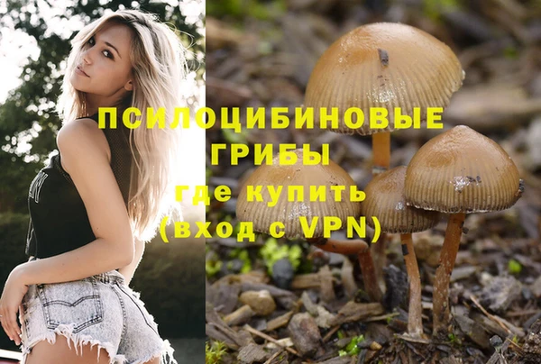 соль ск Алексеевка
