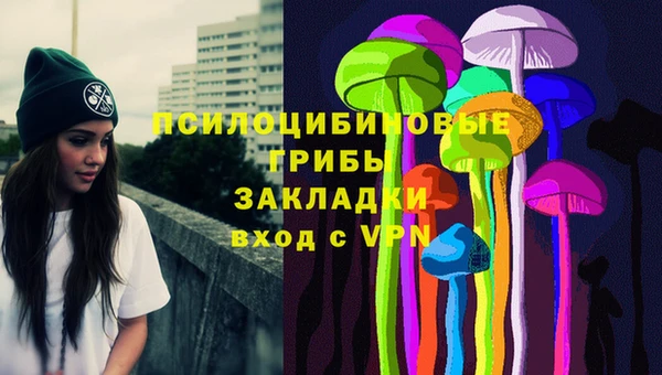 герыч Алзамай