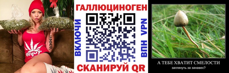 Галлюциногенные грибы MAGIC MUSHROOMS  Арск 